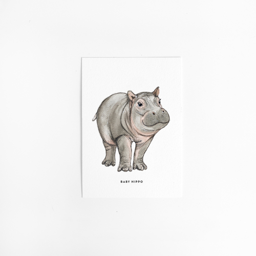 A. Kaart baby nijlpaard 10 st. A. Kaart baby nijlpaard 10 st.