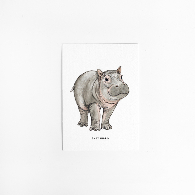 Postcard Baby hippo - 10 pieces