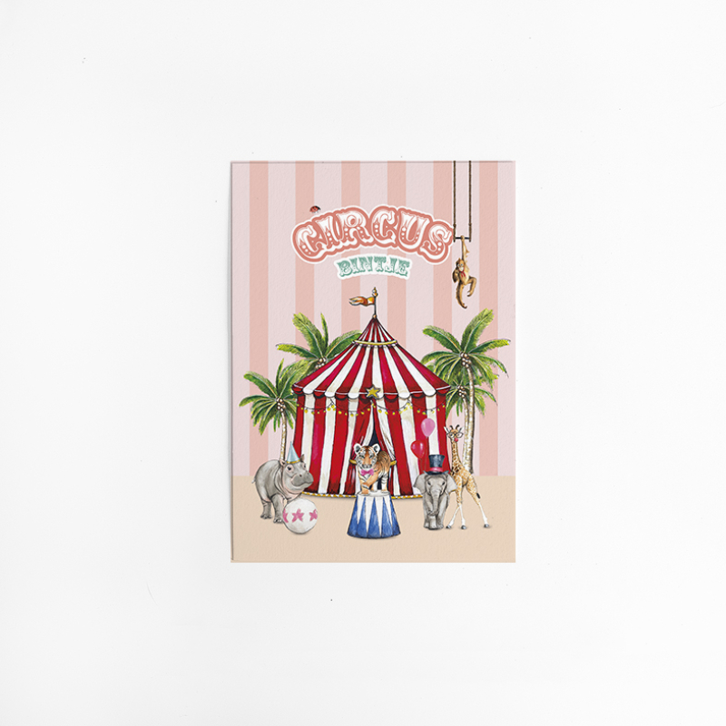 B. Kaart Circus 10 st.