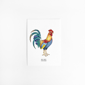 Postcard Rooster - 10 pieces