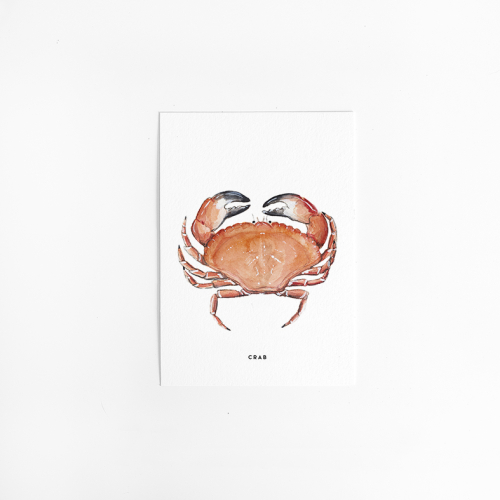 Postcard Crab - 10 pieces