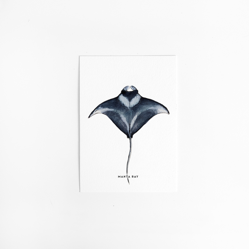 A. Kaart Manta 10 st.