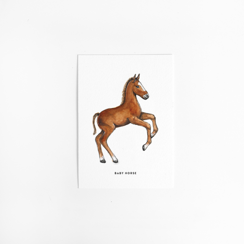 A. Kaart Paard - veulen 10 st. A. Kaart Paard - veulen 10 st.