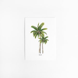 Postcard Palms - 10 pieces