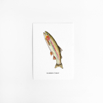 A. Kaart Regenboogforel 10 st.