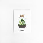 F. Kaart Plant Terrarium 10 st.