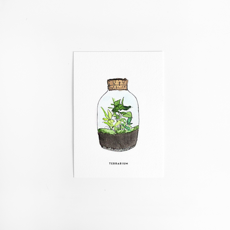 F. Kaart Plant Terrarium 10 st.