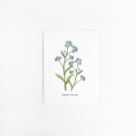 Postcard Flower Forget me not - 10 pieces