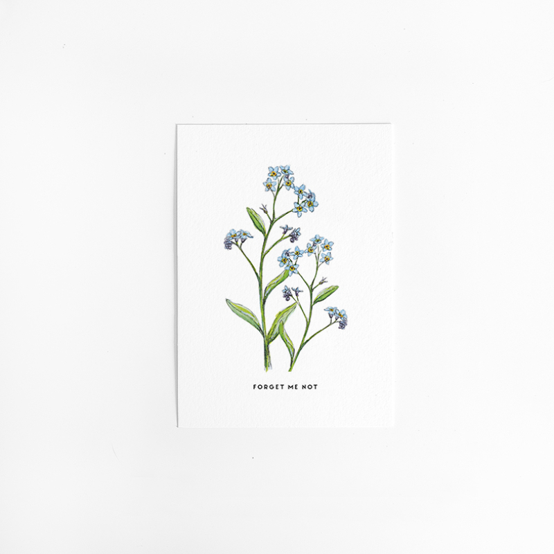 Postcard Flower Forget me not - 10 pieces