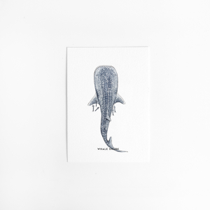 Postcard Shark Whale - 10 pieces