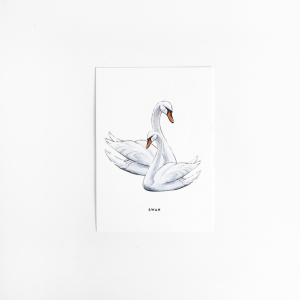 Postcard Swan - 10 pieces