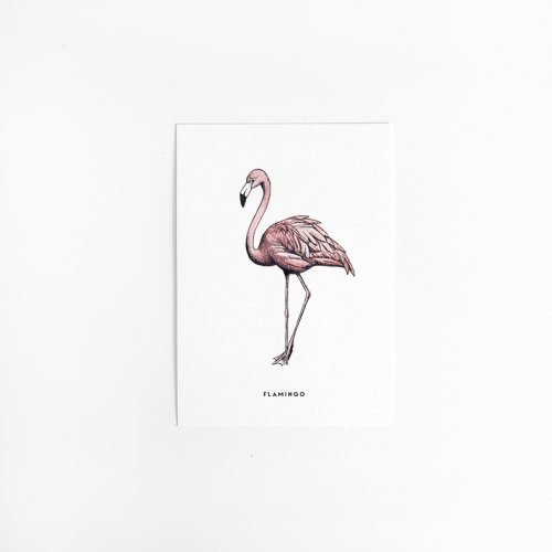 Postcard Flamingo - 10 pieces