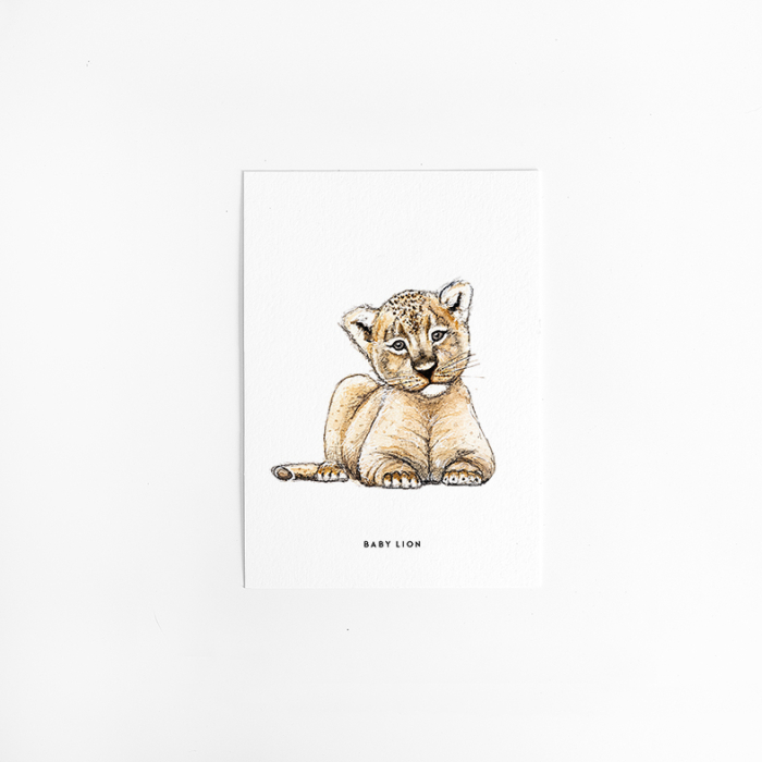 Postcard Baby lion - 10 pieces