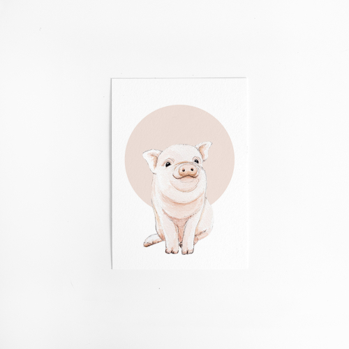 Postcard Circle Baby pig - 10 pieces