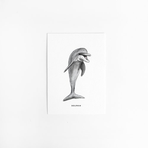 Postcard Dolphin - 10 pieces