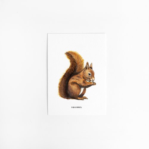 Postcard Squirrel - 10 pieces