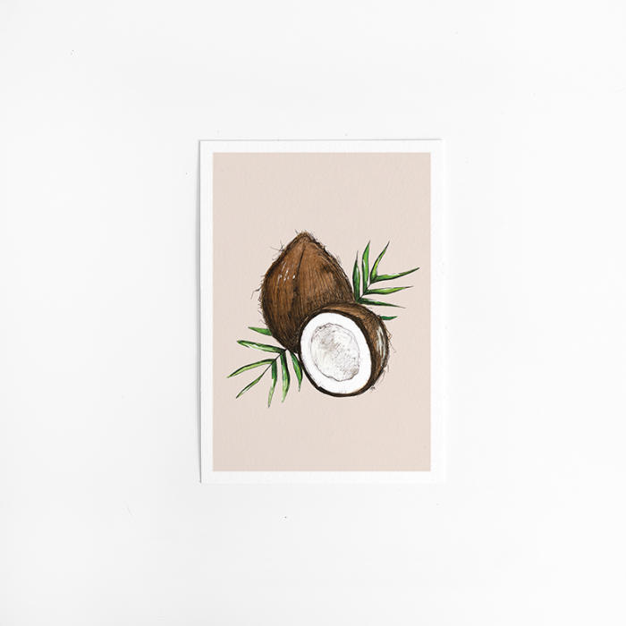Postcard Food coconut - 10 pieces Postcard Food coconut - 10 pieces