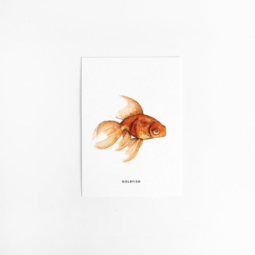 Postcard Goldfish - 10 pieces