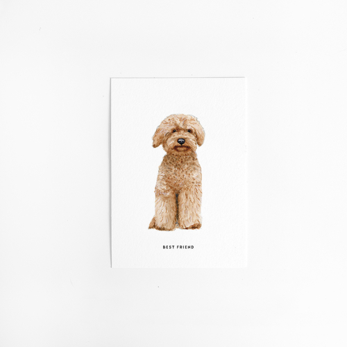 A. Kaart Hond labradoodle 10 st.