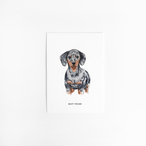 Postcard Dachshund - 10 pieces