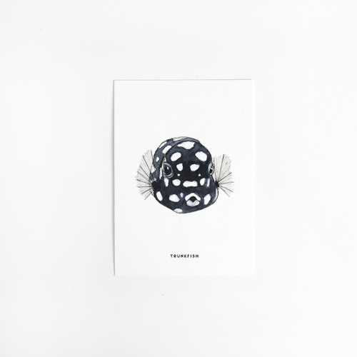 Postcard Trunkfish - 10 pieces