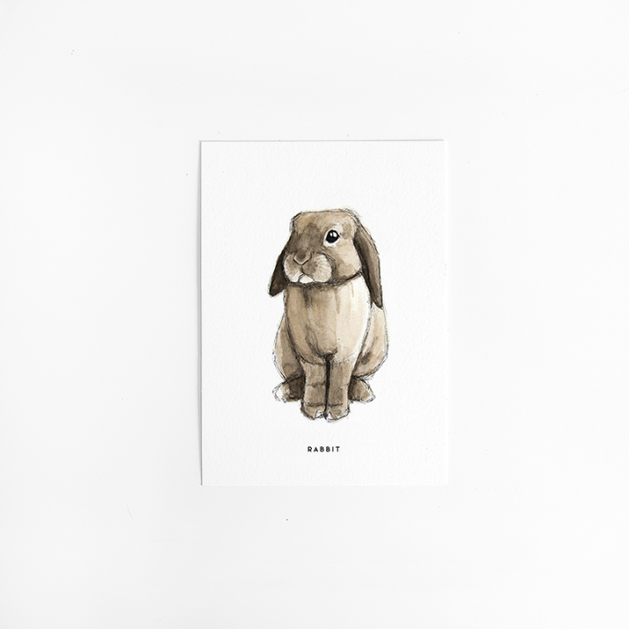 Postcard Rabbit - 10 pieces Postcard Rabbit - 10 pieces