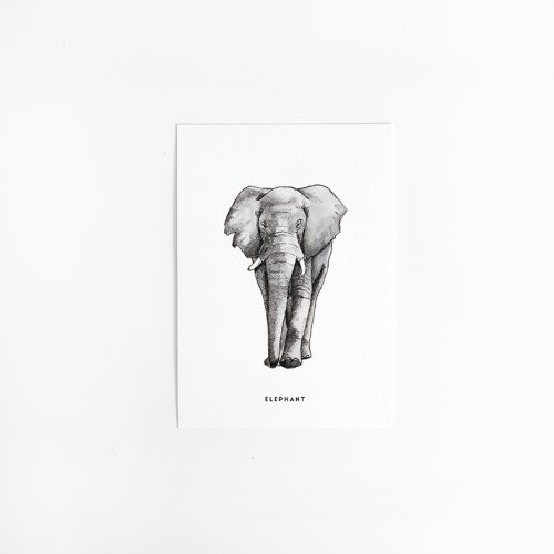 A. Kaart Olifant 10 st.