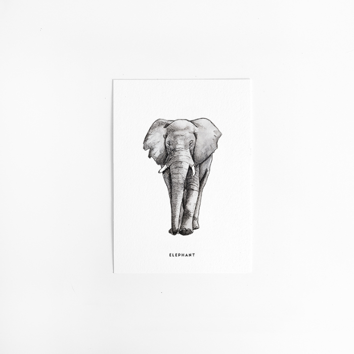 A. Kaart Olifant 10 st. A. Kaart Olifant 10 st.