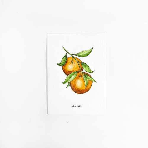 Postcard Oranges - 10 pieces