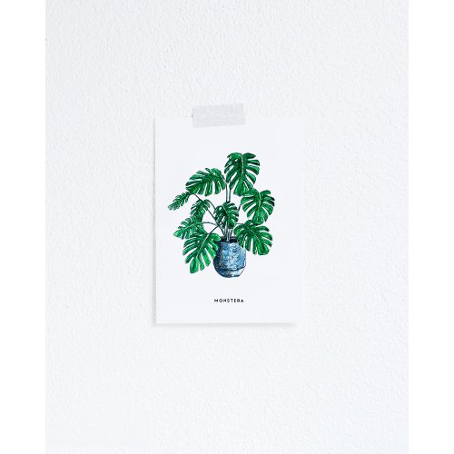 Postcard Plant Monstera - 10 pieces