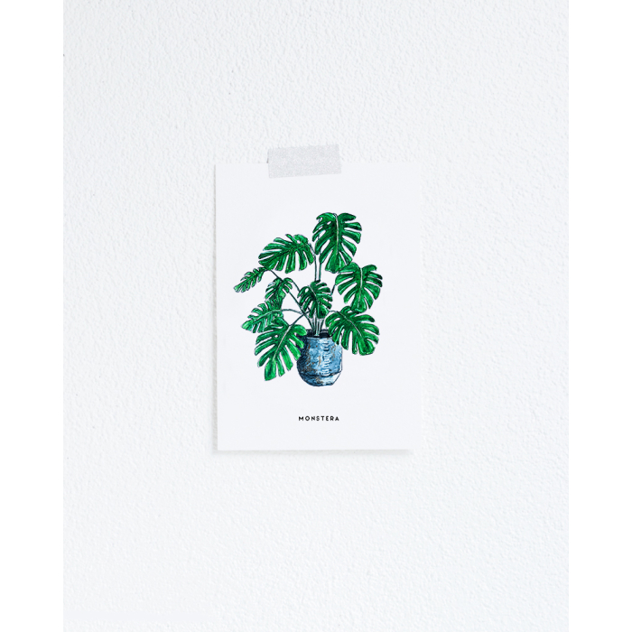 F. Kaart Plant Monstera 10 st.