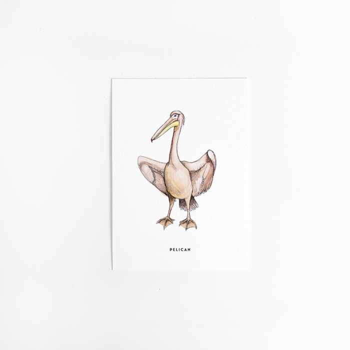 Postcard Pelican - 10 pieces Postcard Pelican - 10 pieces