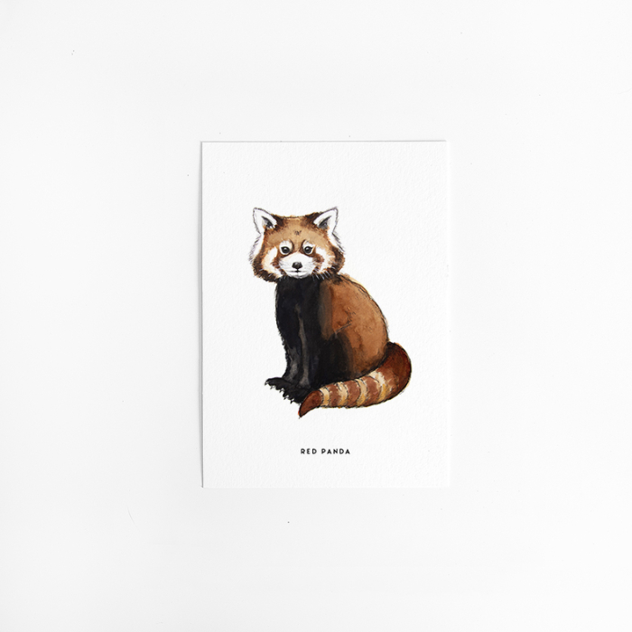 A. Kaart Rode panda 10 st. A. Kaart Rode panda 10 st.