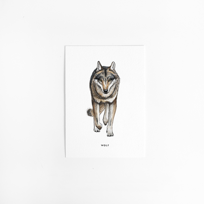 A. Kaart Wolf 10 st. A. Kaart Wolf 10 st.