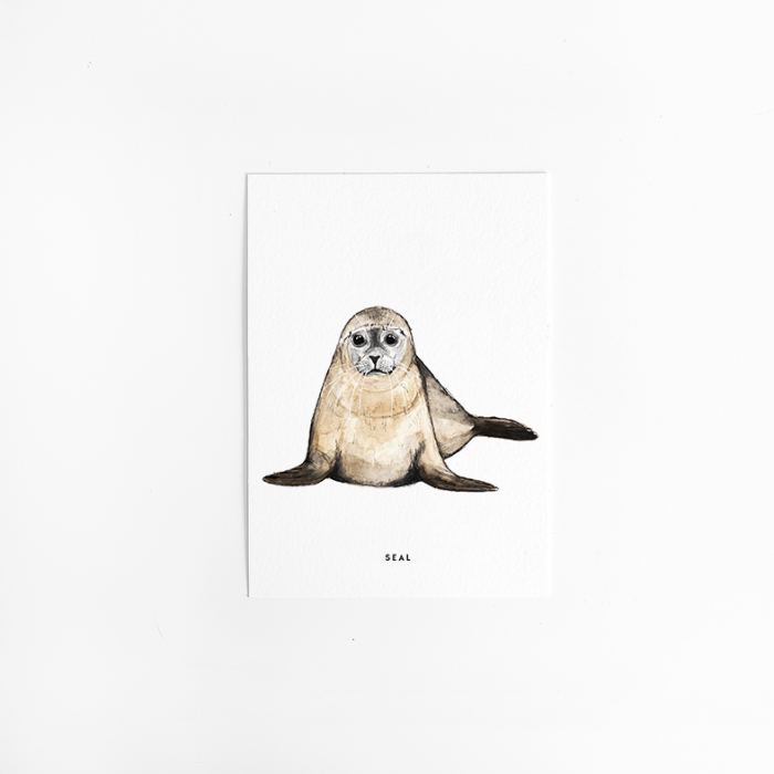A. Kaart Zeehond 10 st. A. Kaart Zeehond 10 st.