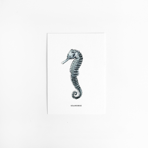 Postcard Seahorse 10 pieces