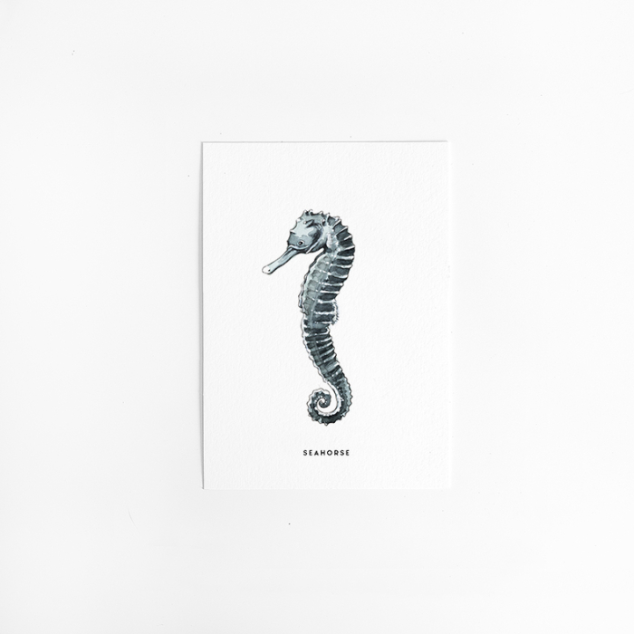 Postcard Seahorse 10 pieces Postcard Seahorse 10 pieces