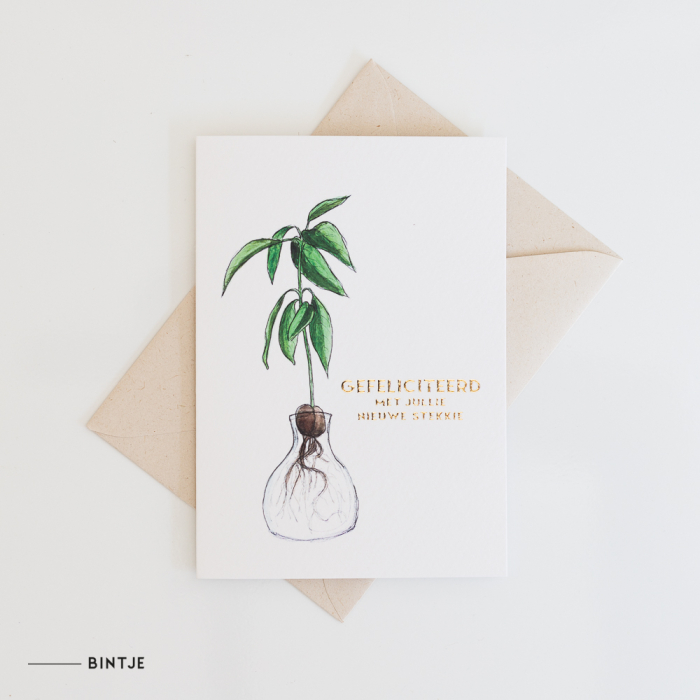 Dubbele Wenskaart Stekkie 9 st. LAATSTE! Dubbele Wenskaart Stekkie 9 st. LAATSTE!