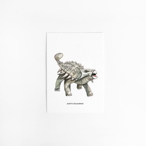 C. Kaart Dino ankylosaurus 10 st.