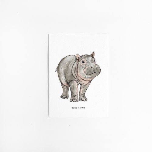 A. Kaart baby nijlpaard 10 st.