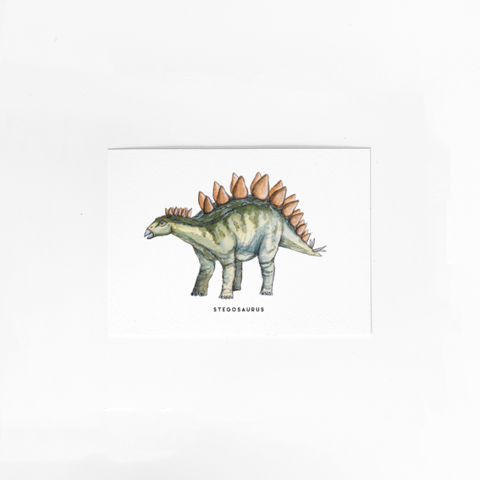 C. Kaart Dino Stegosaurus 10 st.