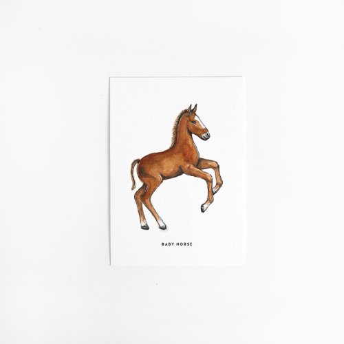 A. Kaart Paard - veulen 10 st.
