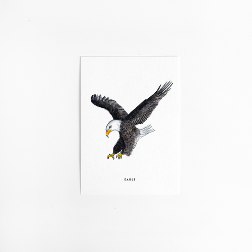 Postcard Eagle - 10 pieces