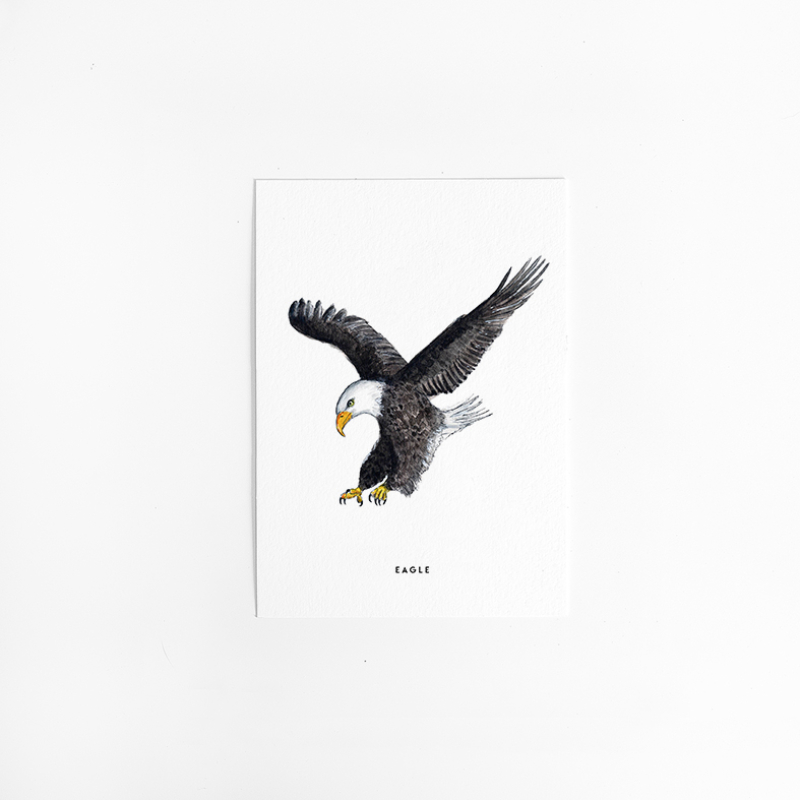 Postcard Eagle - 10 pieces