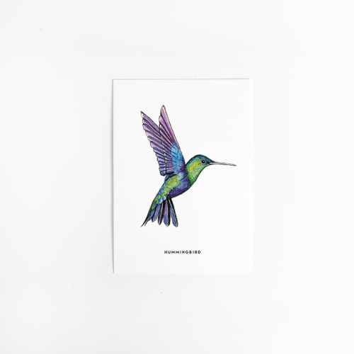 Postcard Hummingbird - 10 pieces
