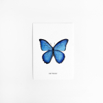 Postcard Butterfly - 10 pieces