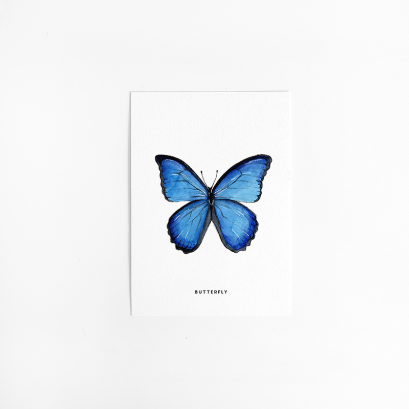 Postcard Butterfly - 10 pieces