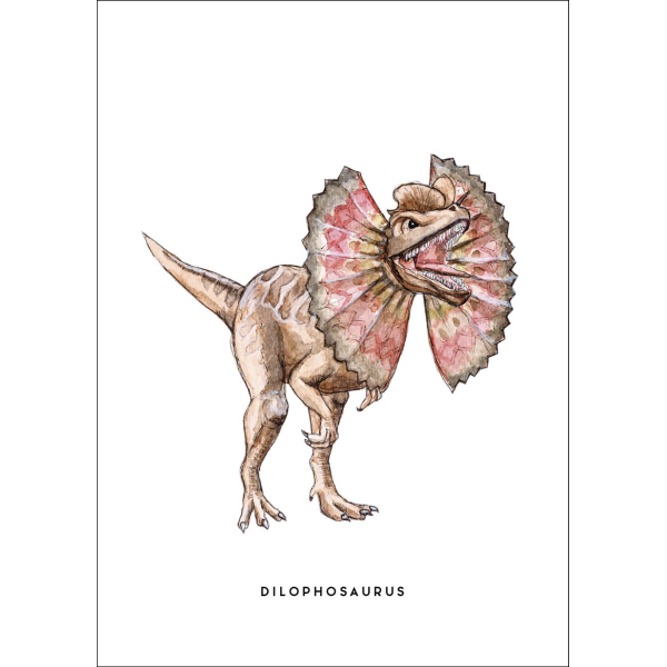 Kaart Dino Dilophosaurus 10 st. Kaart Dino Dilophosaurus 10 st.