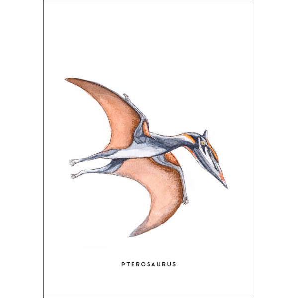 Kaart  Dino Pterosaurus 10 st.