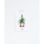 F. Kaart Plant Ananas 10 st.
